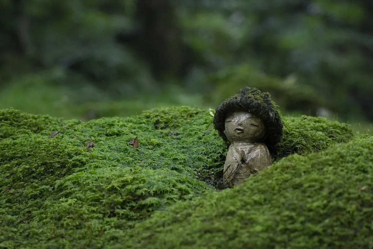 13 Best Rainy Day Things To Do In Kyoto (2026)
