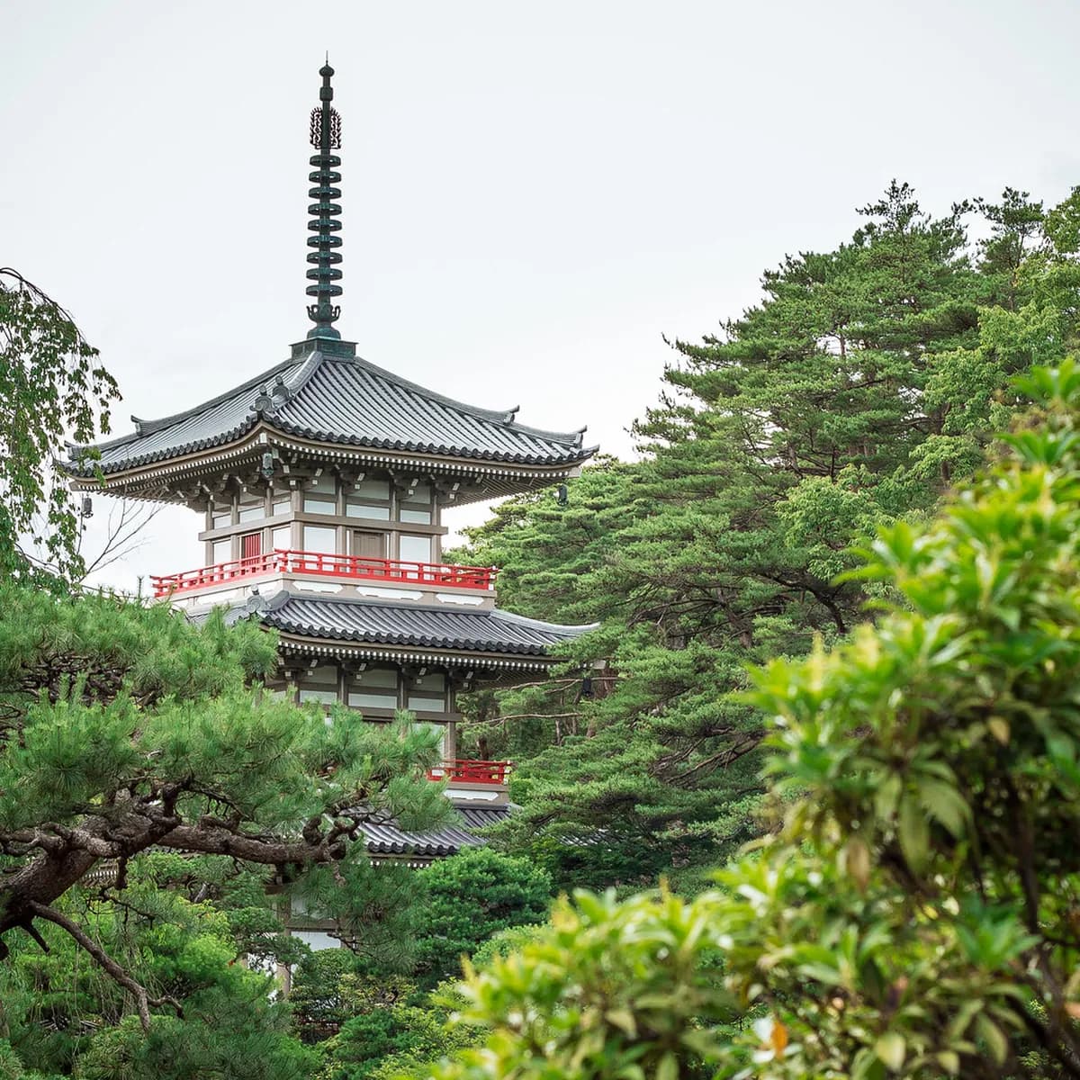 Rinnoji Temple Visitor Guide Travel Guide