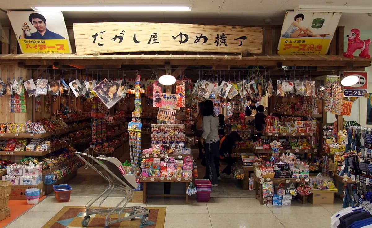 8 Key Differences: Ryokan vs Business Hotel Fukuoka