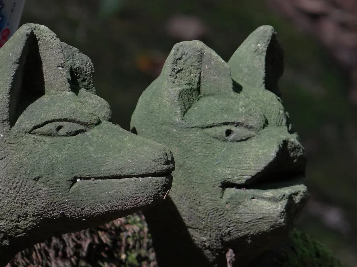 Sasuke Inari Shrine Travel Guide
