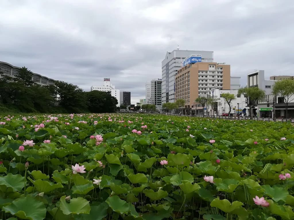 Senshu Park Visitor Guide: Explore Akita's Historic Oasis