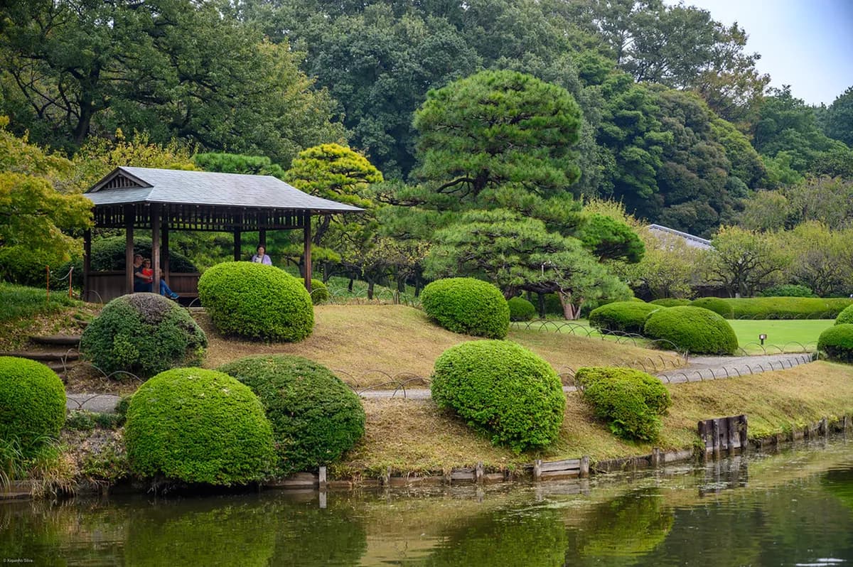 Shinjuku Gyoen National Garden Visitor Guide: 10 Essential Tips