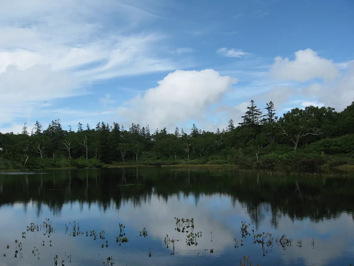 Shinsen-numa Marsh Visitor Guide: 10 Essential Tips for Your Trip