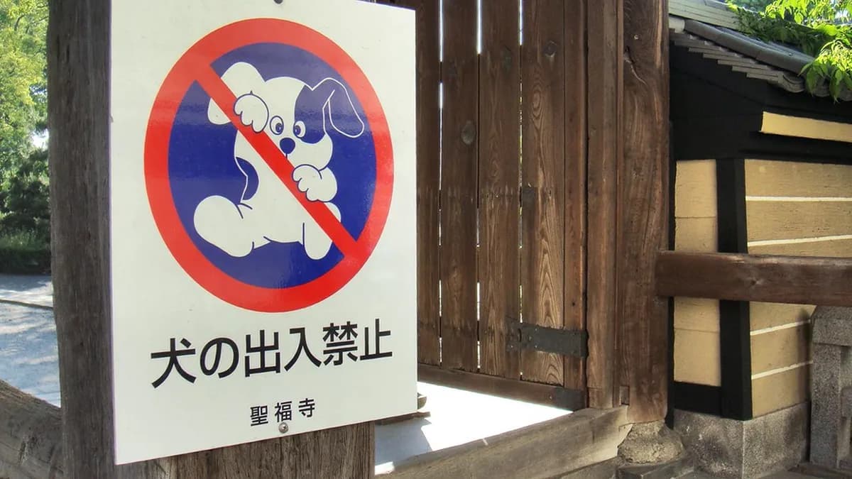 Shofukuji Temple Visitor Guide: 10 Essential Insights