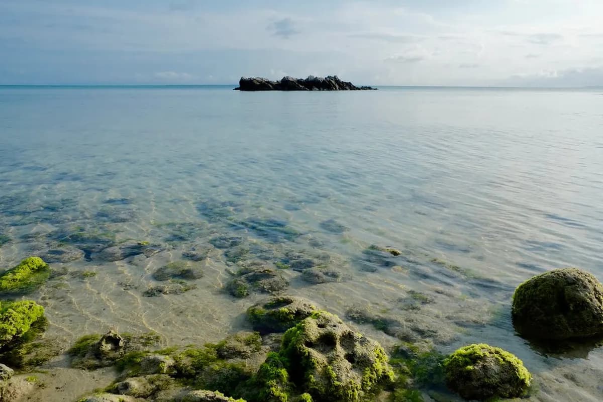 Taketomi Island Visitor Guide: Planning Your Trip to Okinawa's Traditional Gem