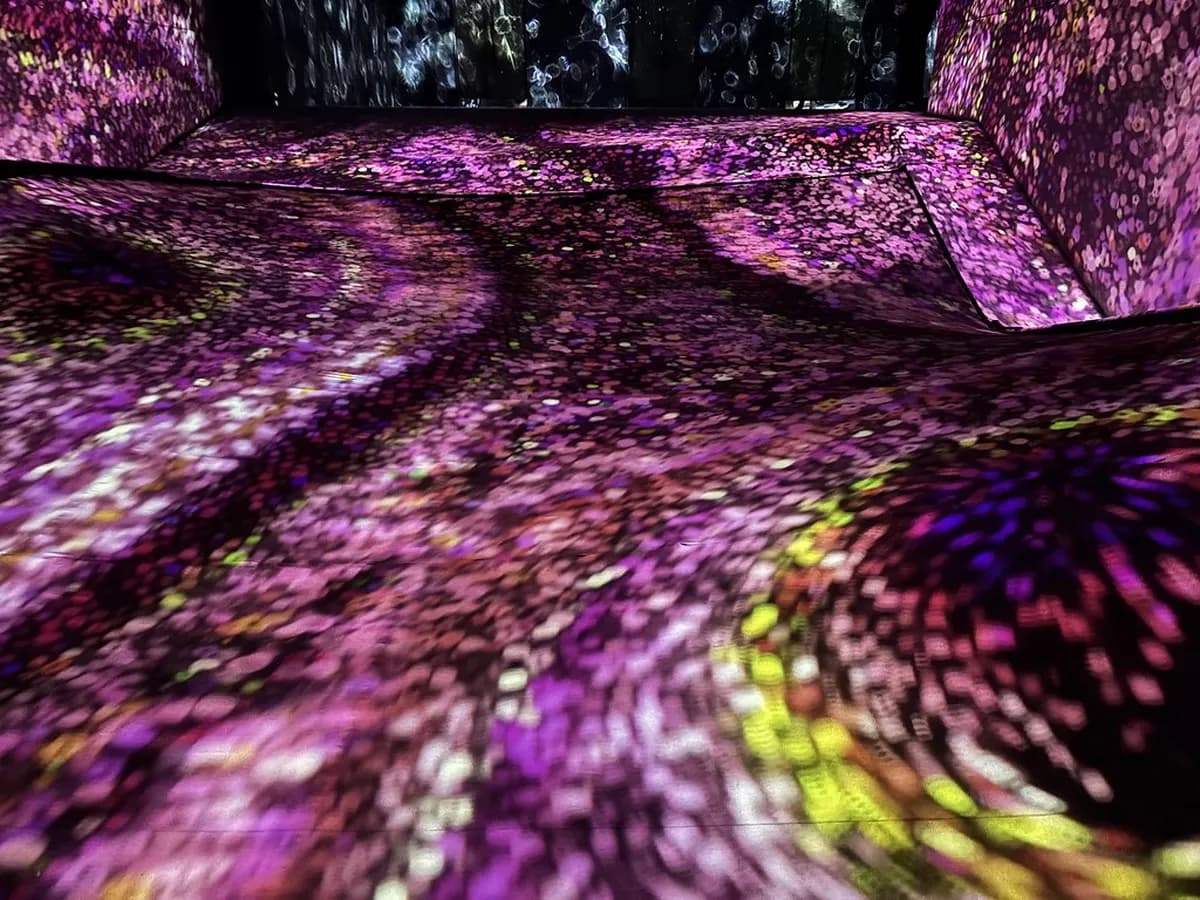 TeamLab Forest Fukuoka Boundless Visitor Guide: 10 Essential Tips