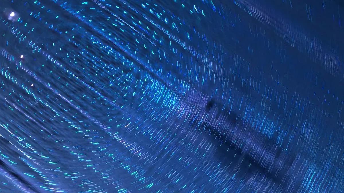 TeamLab Planets Tokyo DMM Visitor Guide: 10 Essential Tips