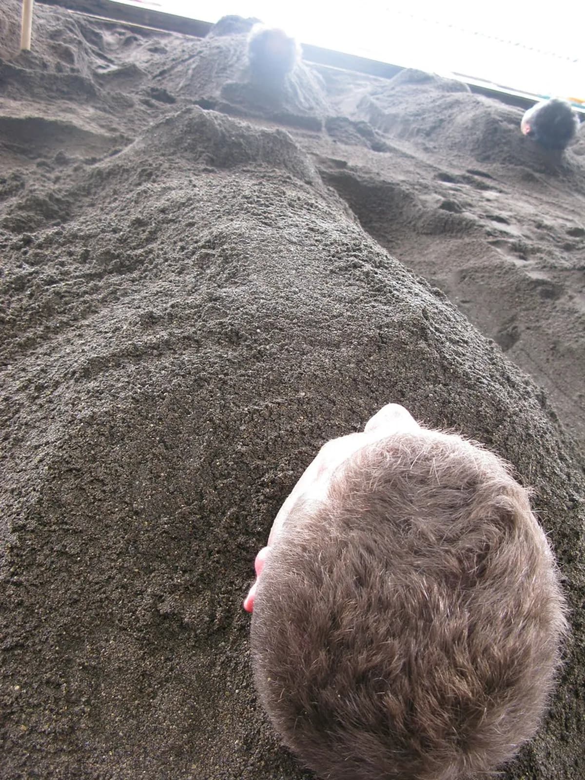 10 Best Things to Do in Beppu on a Rainy Day (2026)