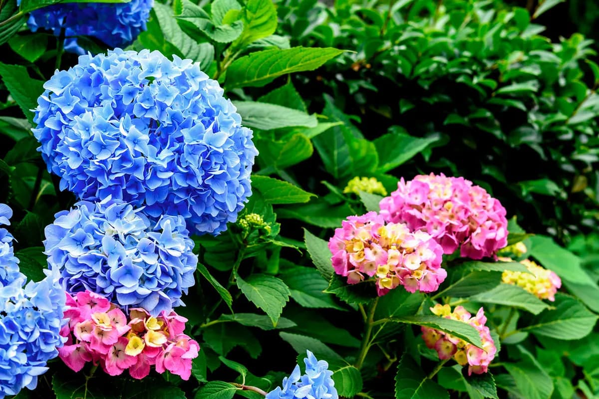 10 Best Things to Do in Kamakura on a Rainy Day (2026)