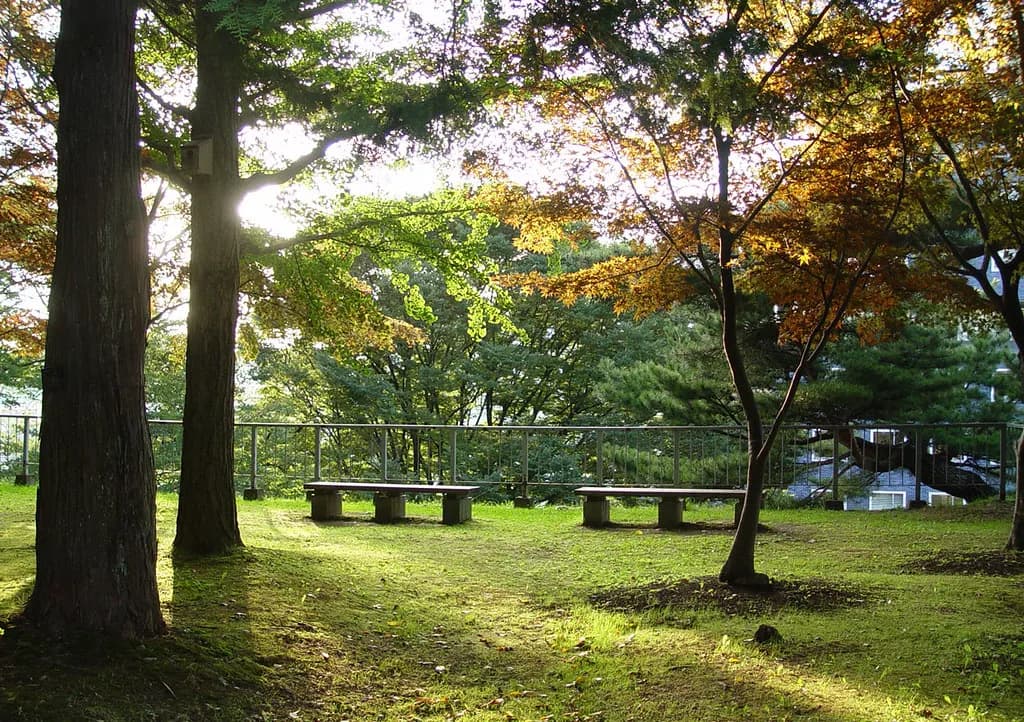 10 Best Things To Do In Morioka (2026)