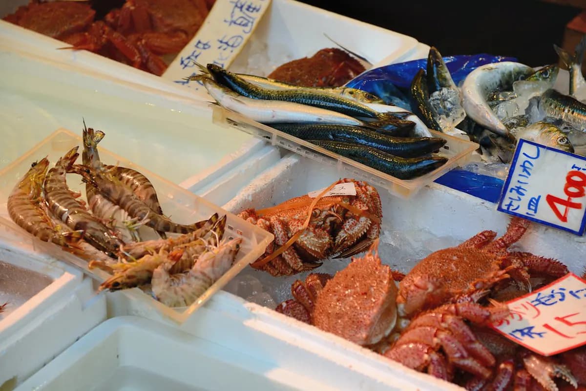 Toyosu Market Guide: Tuna Auction, Sushi & Access (2026)