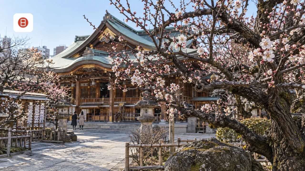 Tokyo in February: Weather, Events, and What to Know Before You Go