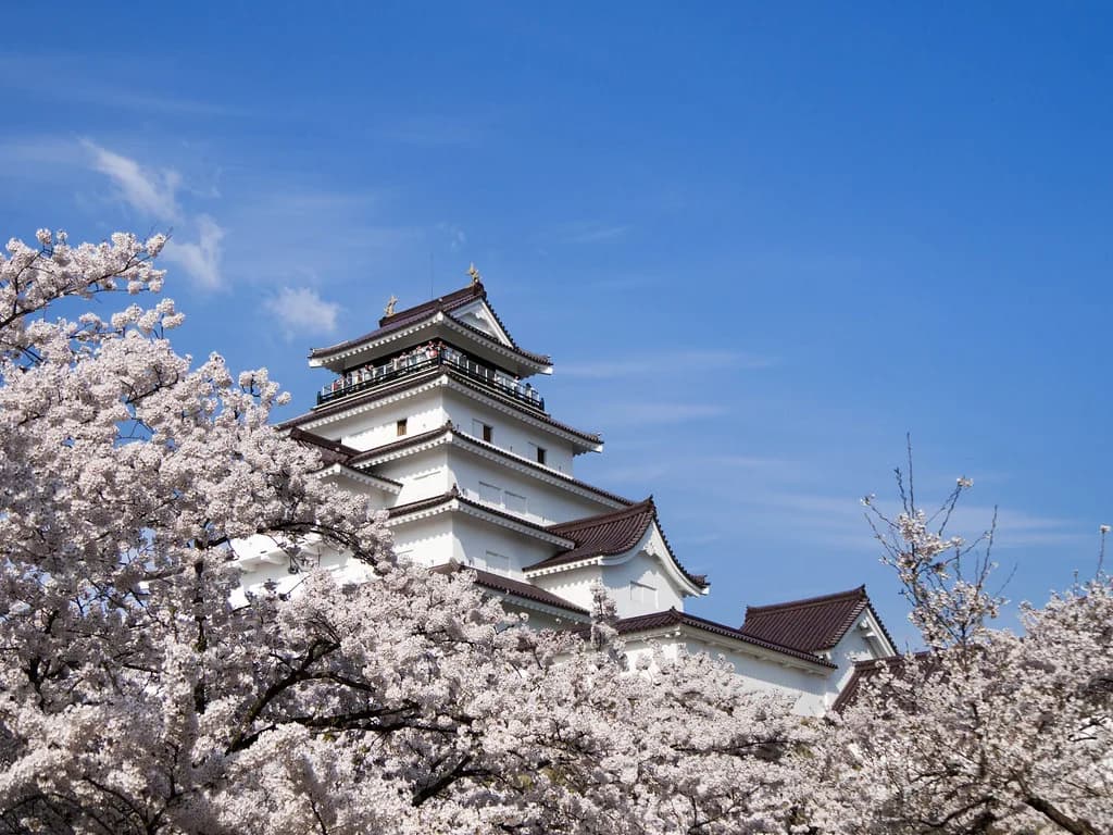 Tsuruga Castle Aizuwakamatsu: Ultimate Travel Guide & Tips