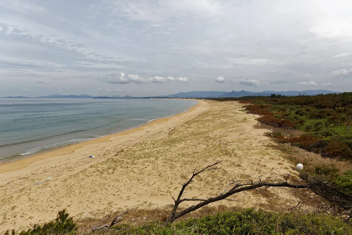 Uminonakamichi Seaside Park: The Ultimate Fukuoka Day Trip Guide