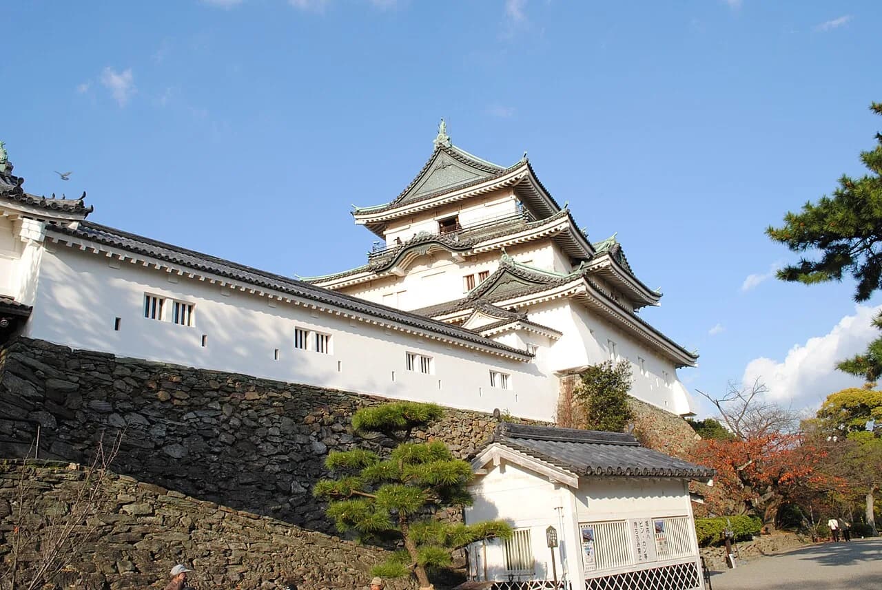 Things to Do in Wakayama: 5 Top Attractions (2026 Guide)