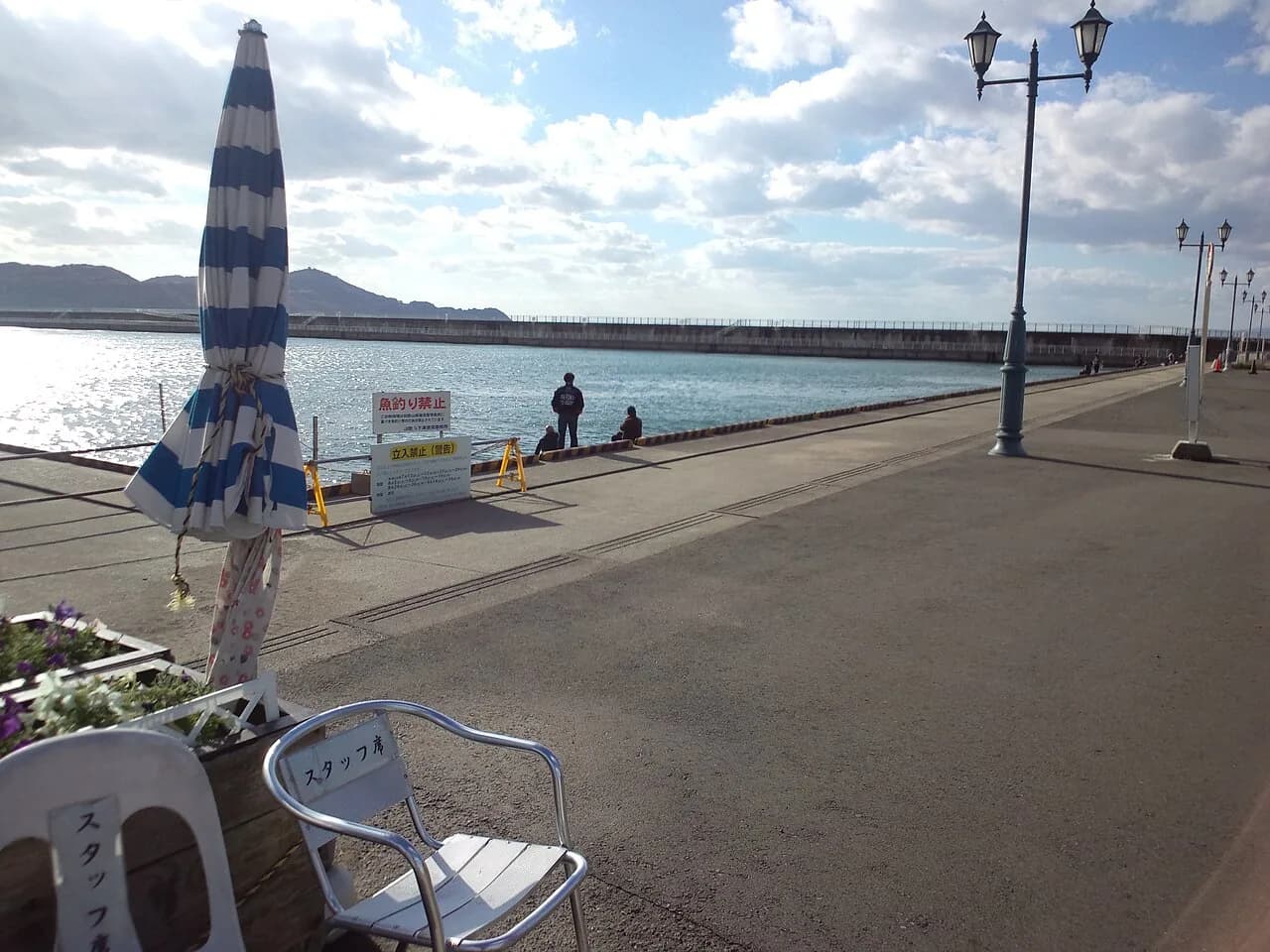 Wakayama Marina City Visitor Guide: 2-Day Itinerary & Tips