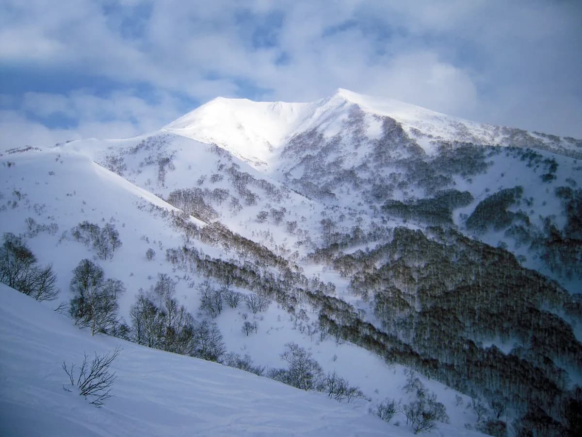 Where To Stay In Niseko Annupuri: 6 Best Hotels and Travel Tips