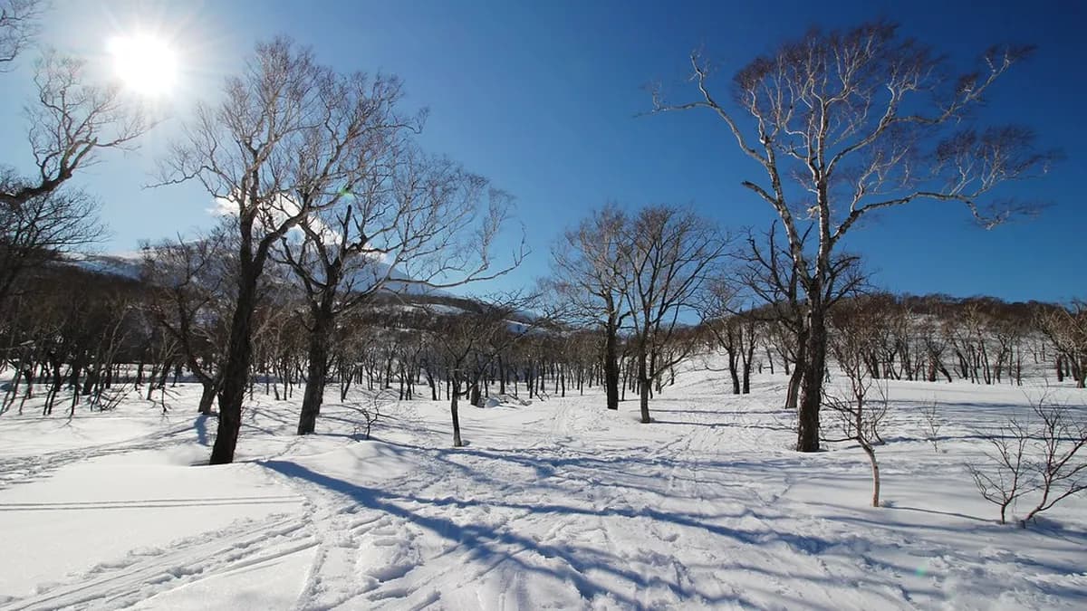 Where to Stay in Hanazono Niseko: Best Hotels & Lodging Guide