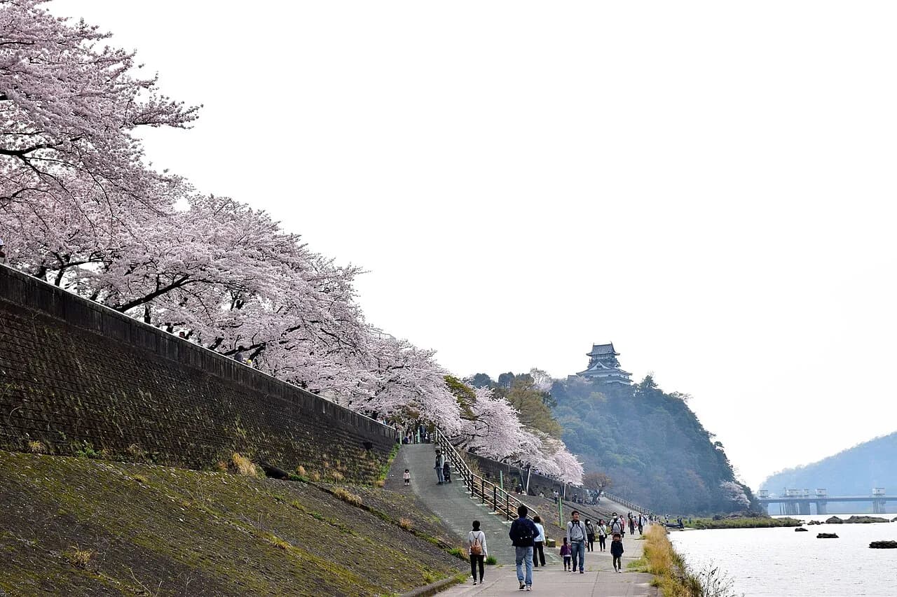 Where To Stay In Inuyama Travel Guide