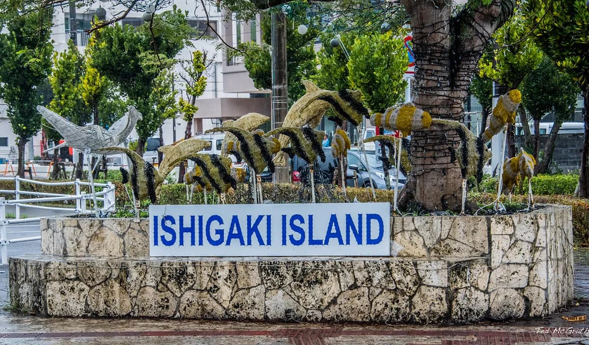 Yaeyama Islands Ferry Guide: Routes, Fares & Tips (2026)
