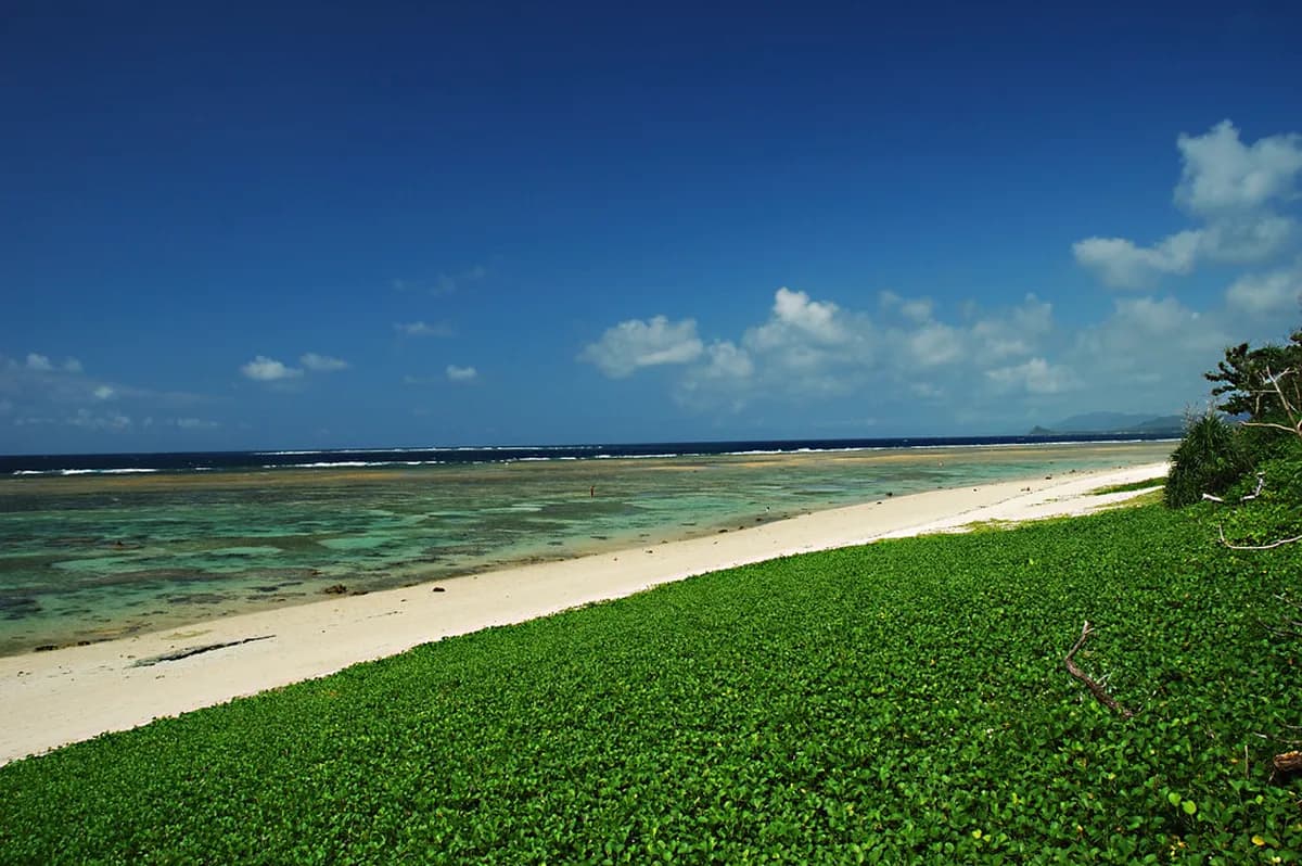 Yonehara Beach Visitor Guide: Snorkeling, Tips & Things to Do