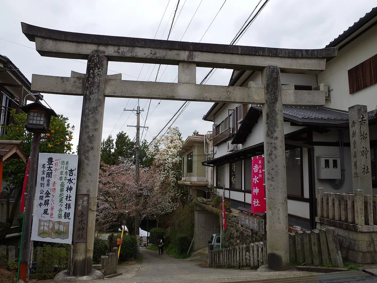 Yoshimizu Shrine: History and Best Cherry-Blossom View (2026)