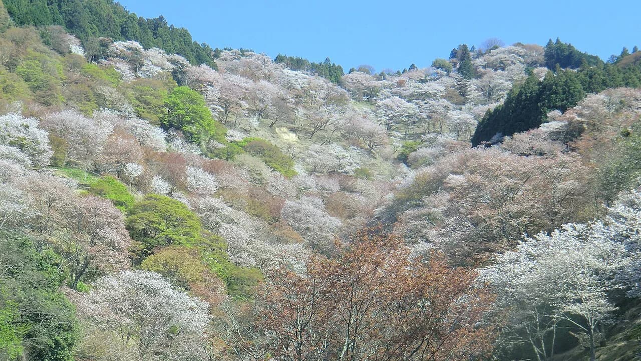 9 Best Things to Do in Yoshino (2026)