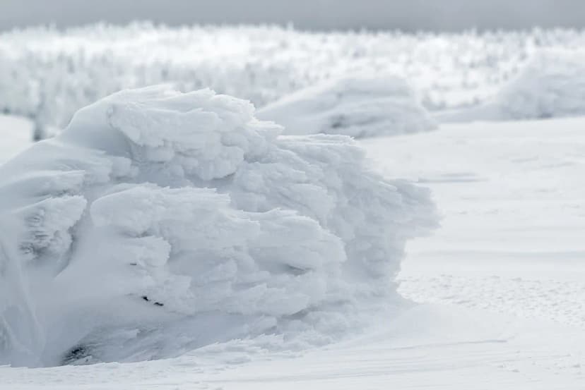 Zao Snow Monsters: Best Time to Visit & Essential Travel Guide