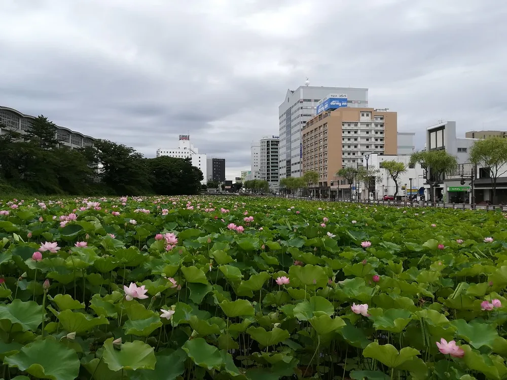 Akita, Japan 2
