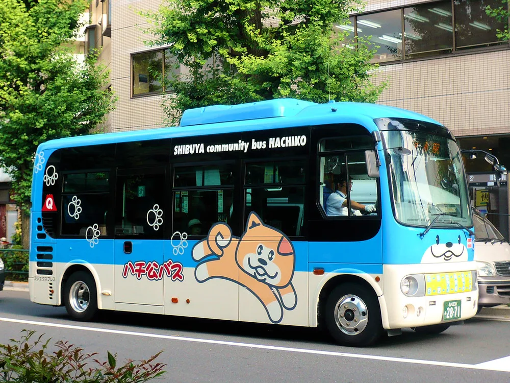 Akita Inu dog 2