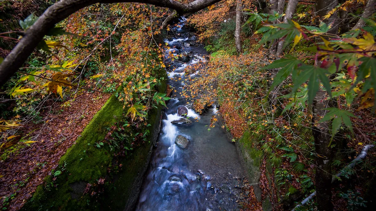 Hot spring scenery near Akiu Onsen, Sendai