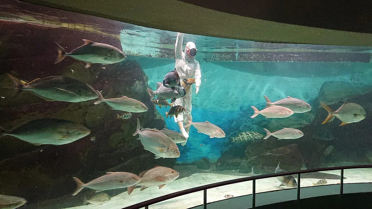 Ama divers of Toba — 1