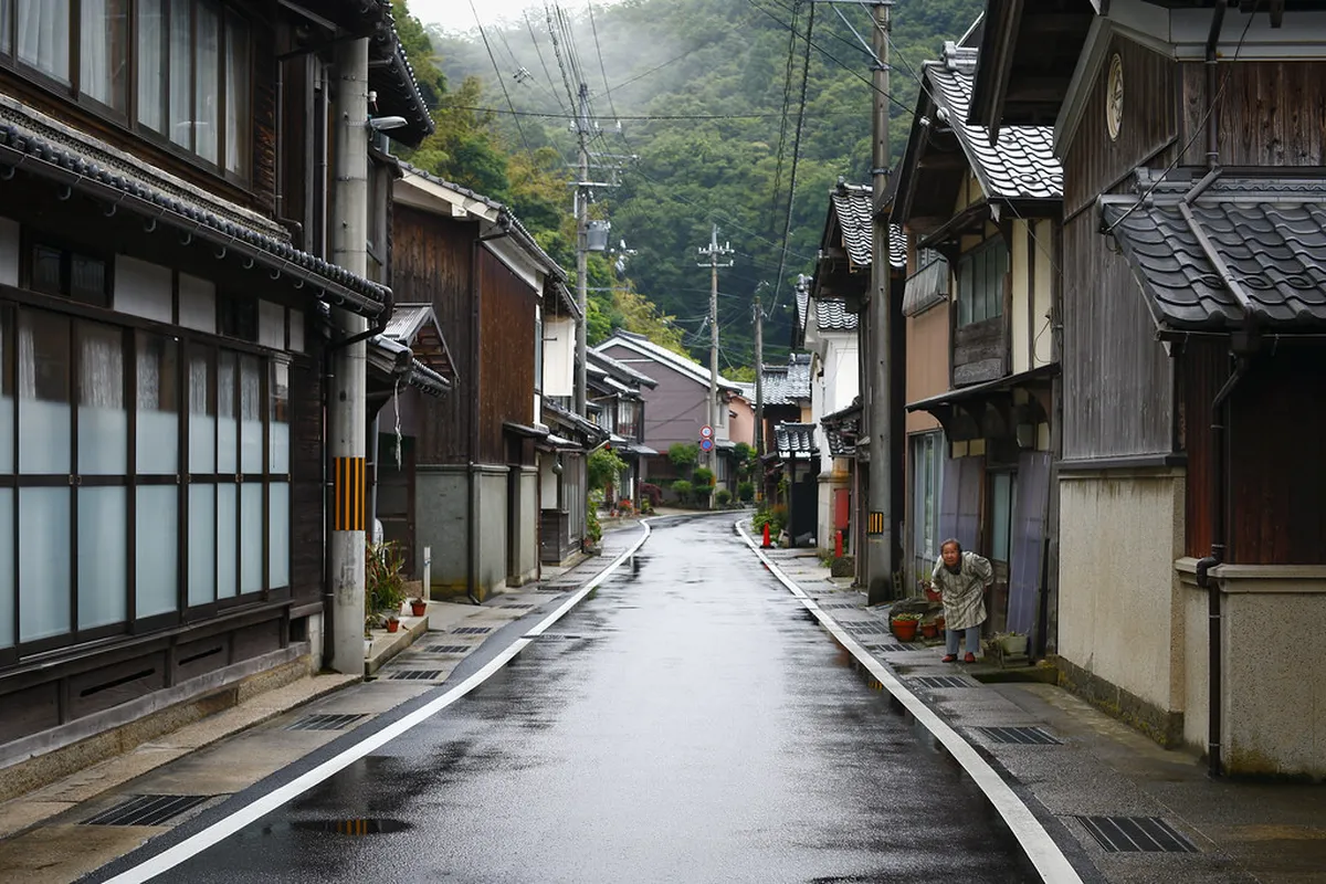 Where to Find Amanohashidate Seafood Restaurants Fast