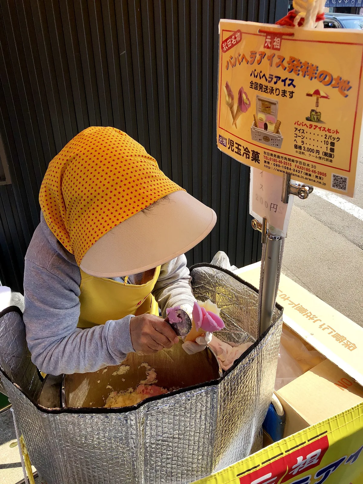 Akita (42434252591).jpg