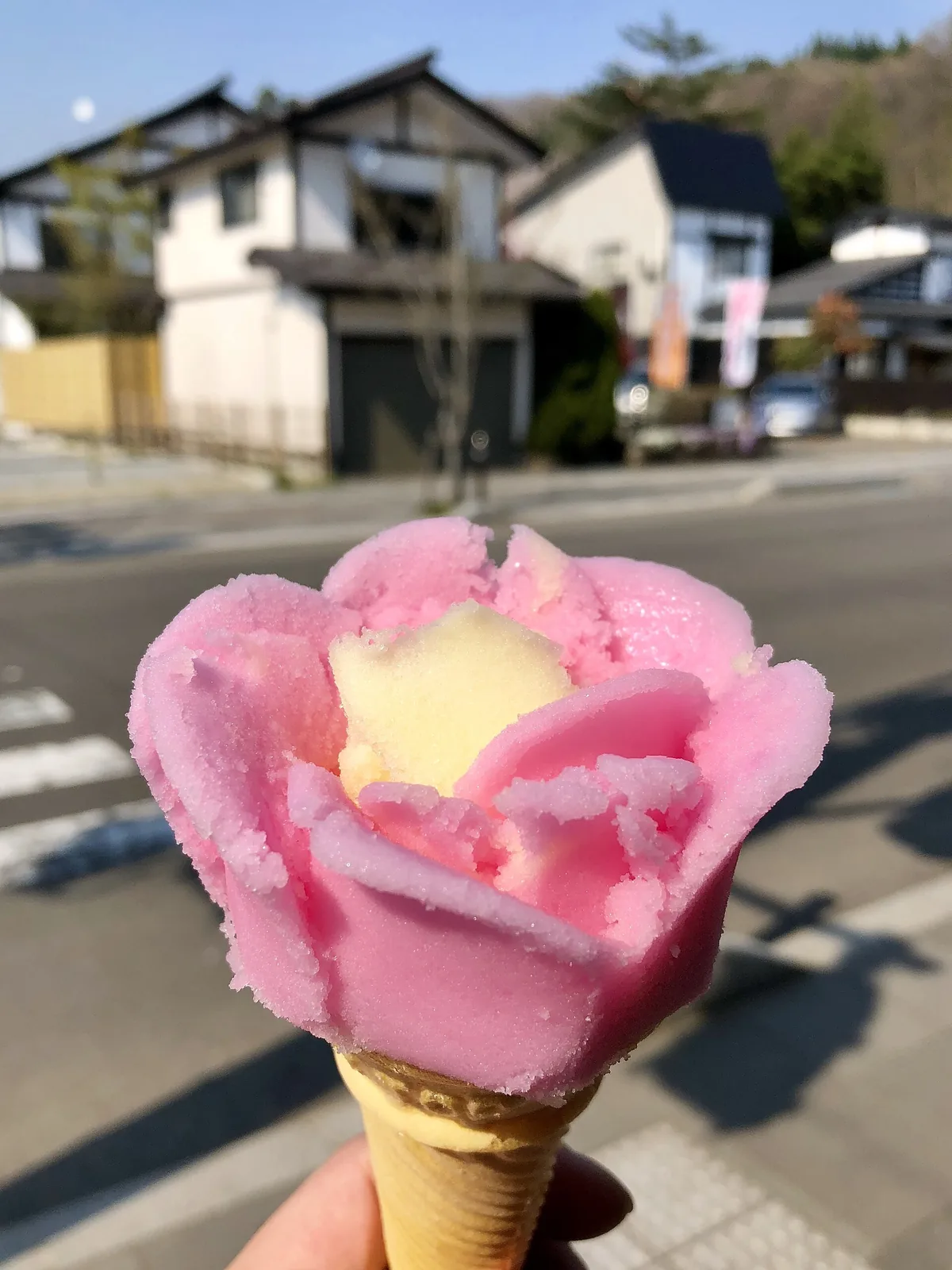 Akita (42384028512).jpg