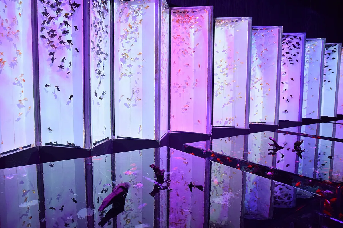 Art Aquarium Museum Ginza, Tokyo, Japan — 1