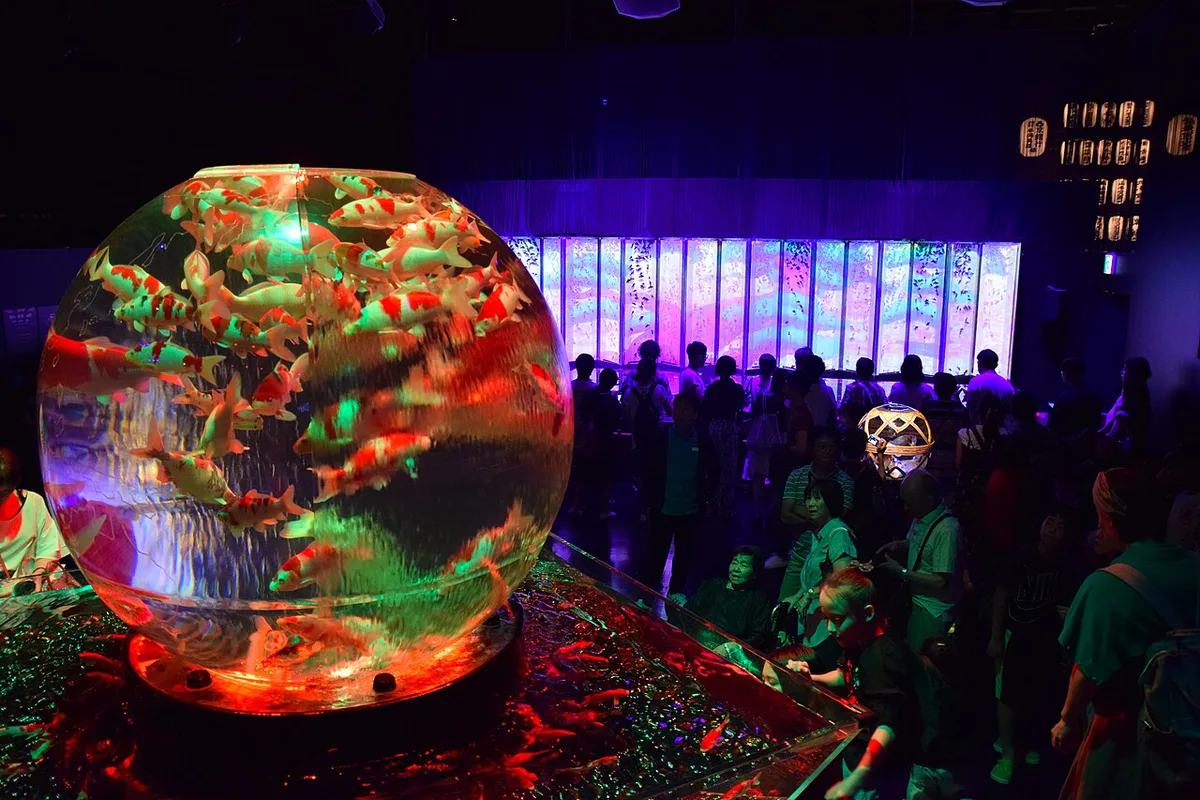 Art Aquarium Museum Ginza, Tokyo, Japan — 2