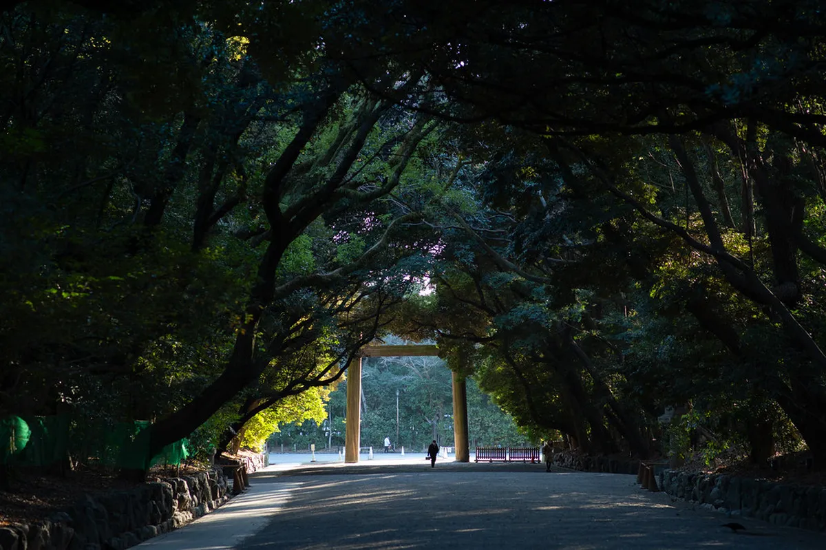 Atsuta Shrine wooden gate and cypress structures surrounded by ancient trees in Nagoya, Japan