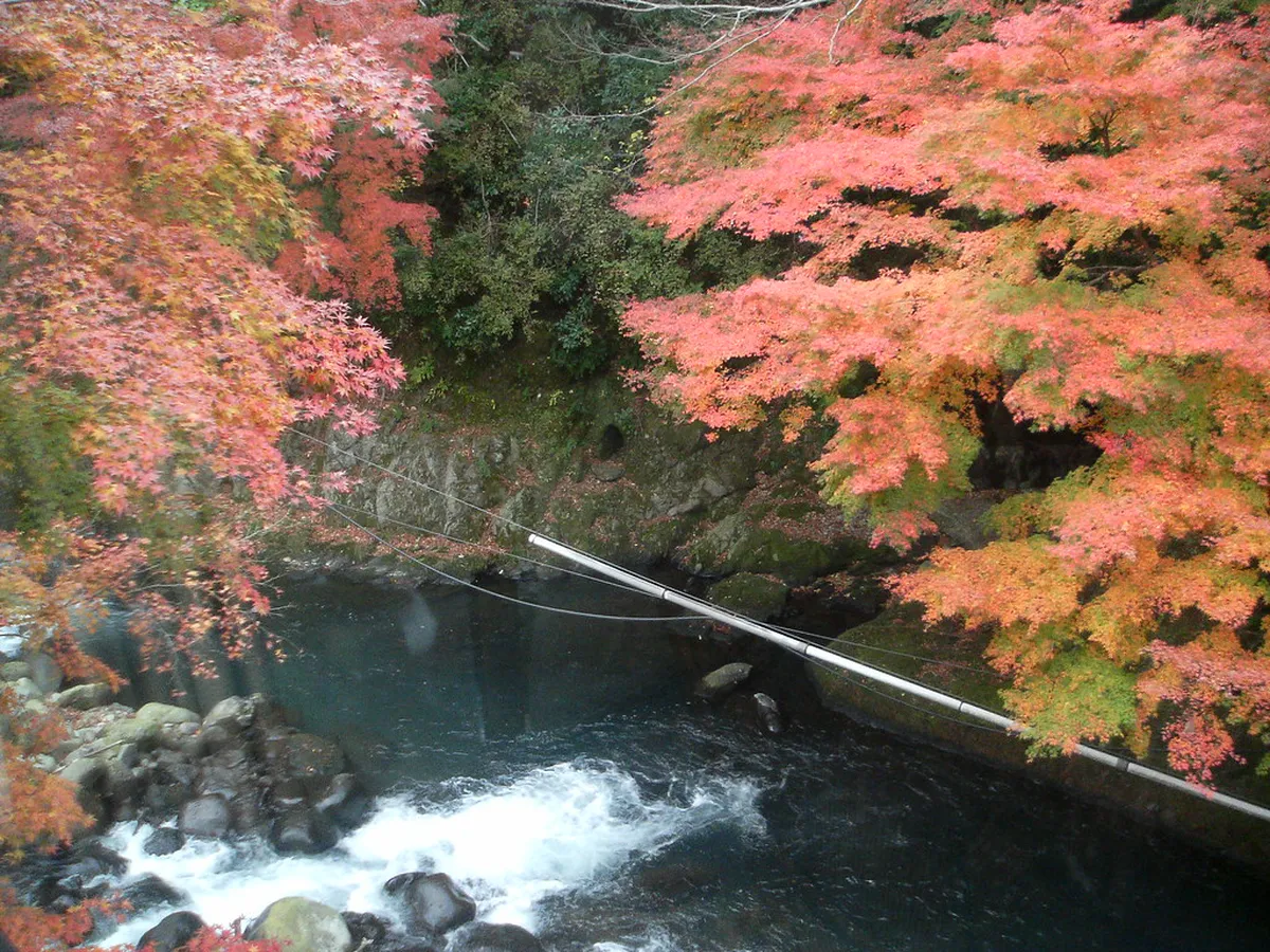 Hakone: Foliage, Hot Springs, and the Classic Sightseeing Loop in Tokyo