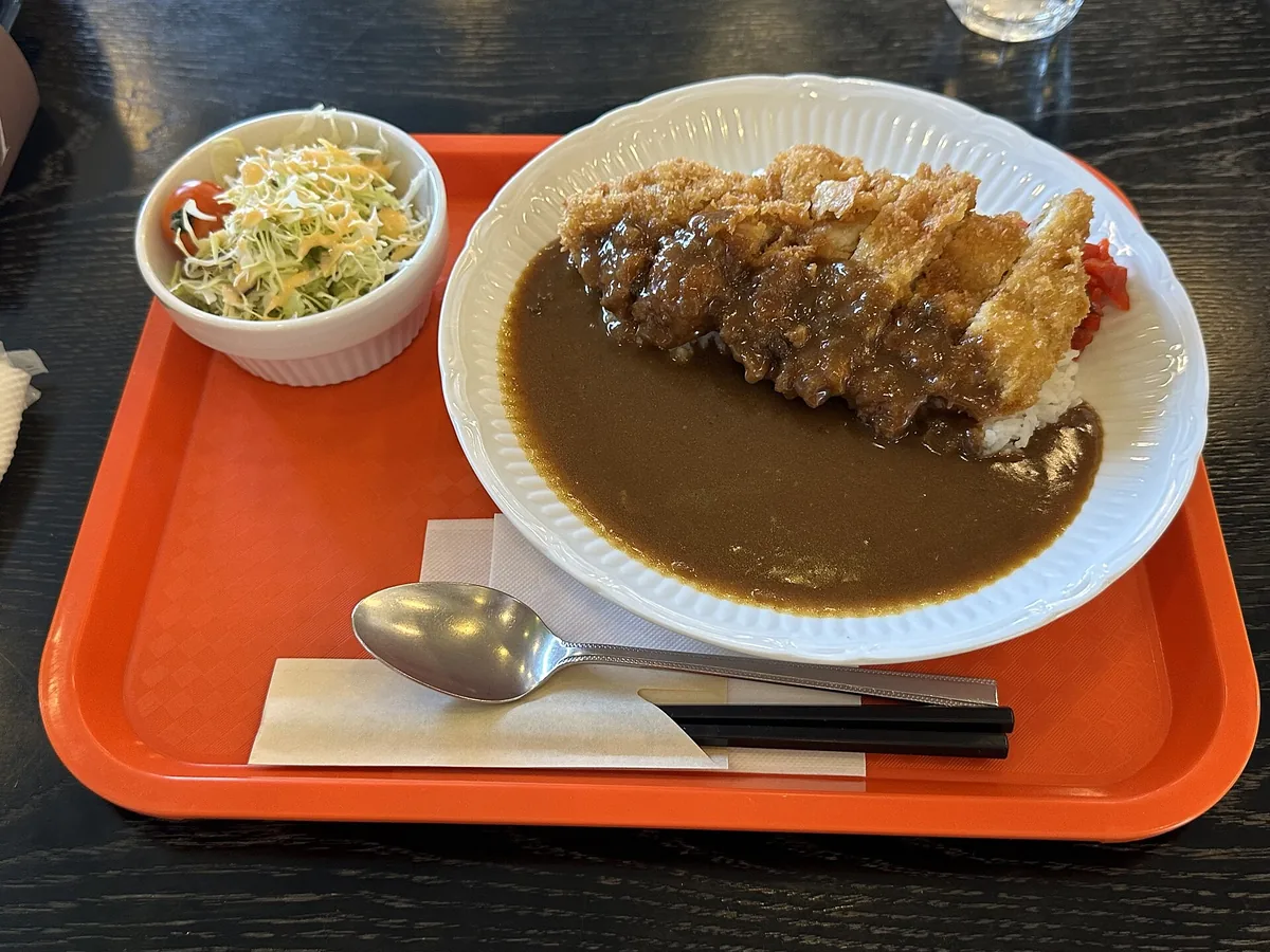 Awa-odori Chicken Katsu Curry 01.jpg