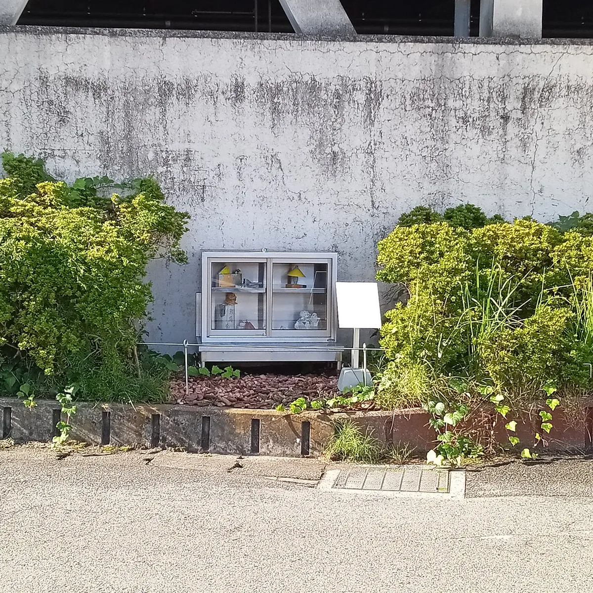 1-Day Beppu Landmark Walking Tour Itinerary (Japan)