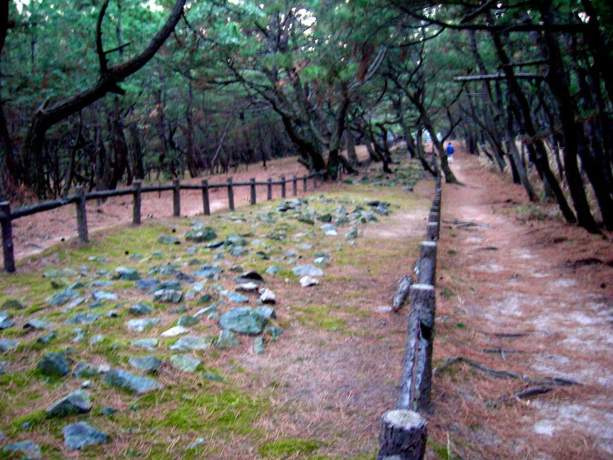 Why Dazaifu Is Fukuoka's Cafe and Sweets Detour