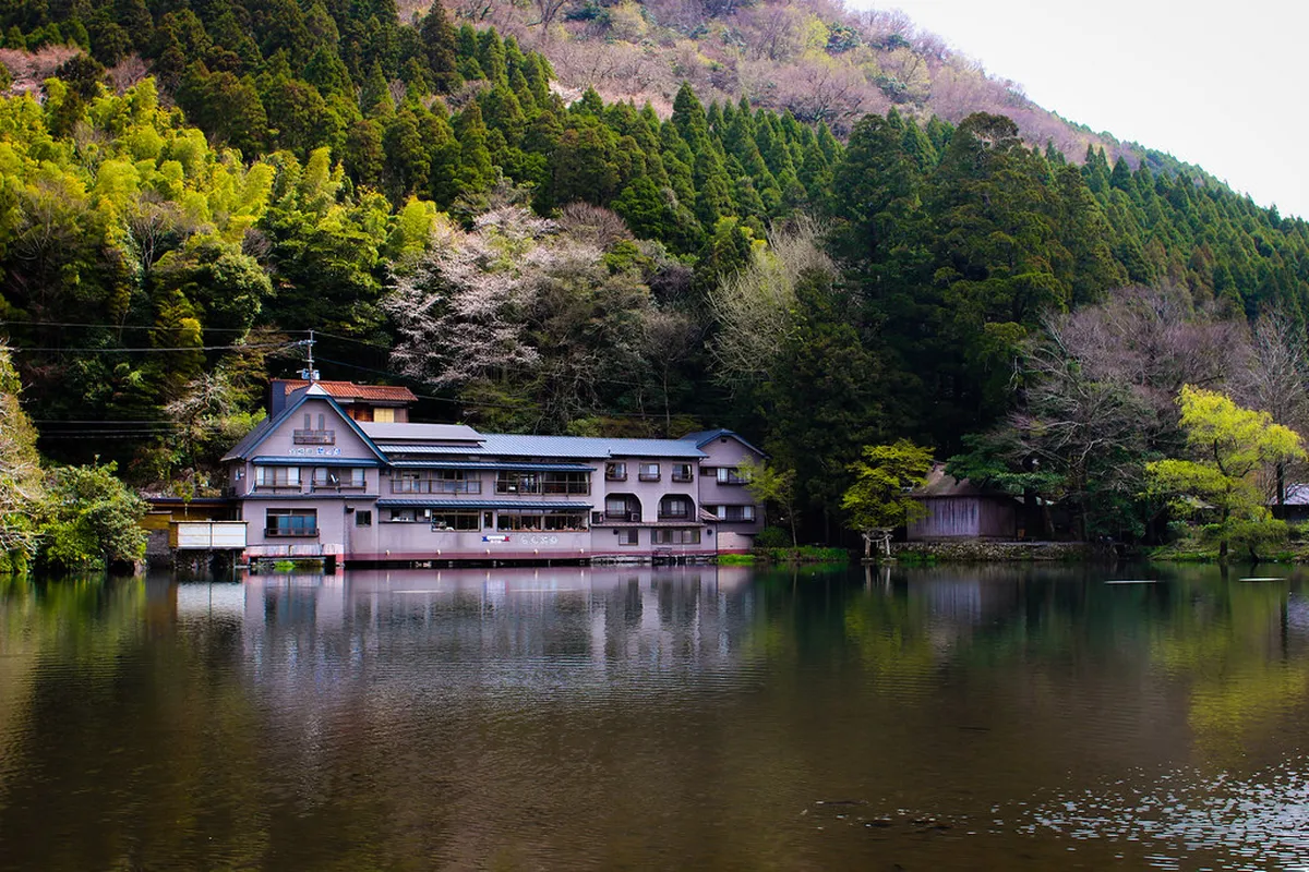 Misty Lake Kinrin at dawn in Yufuin, Oita, with hot spring vapour rising over the calm water and lush green surroundings, Japan