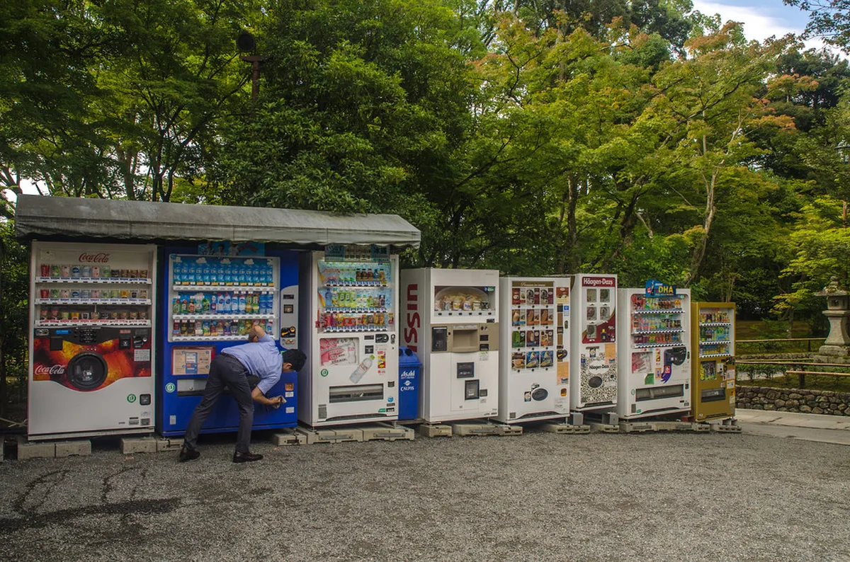 What to Skip: Overrated Dining Experiences in Kamakura, Japan