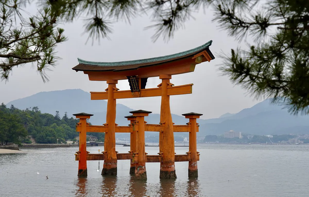 The Miyajima Dining Survival Guide: Timing, Geography, and Deer