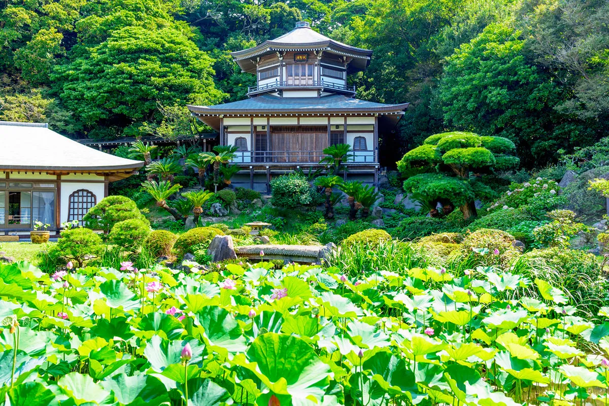 Parks, Gardens, and Outdoor Spots Near Your Ryokan in Kamakura, Japan