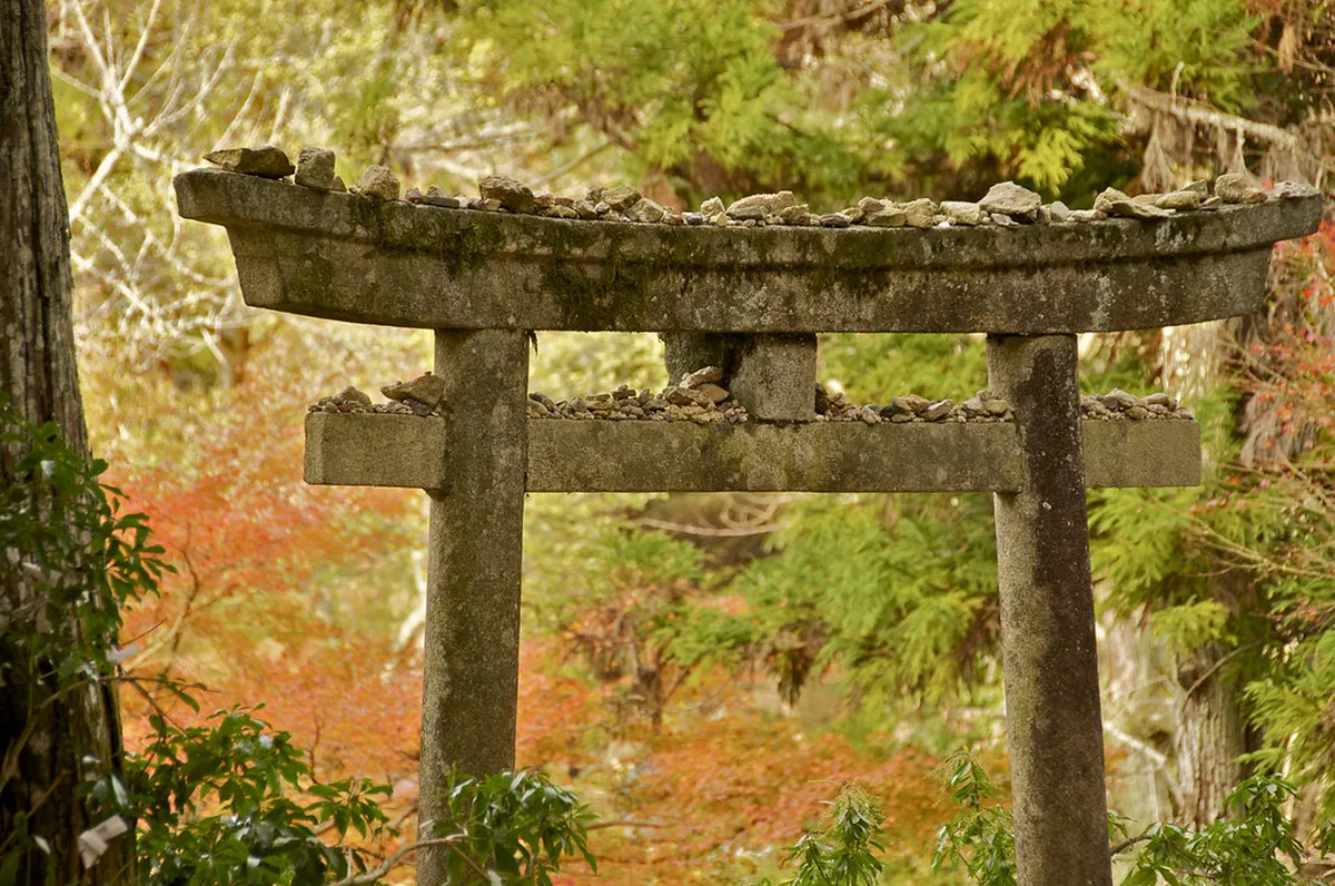 Momijidani Park on Miyajima Island displaying vivid autumn maple foliage in Hiroshima Prefecture Japan
