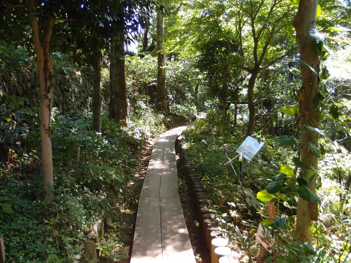 Monkey Park and Wild Plant Garden — Mount Takao