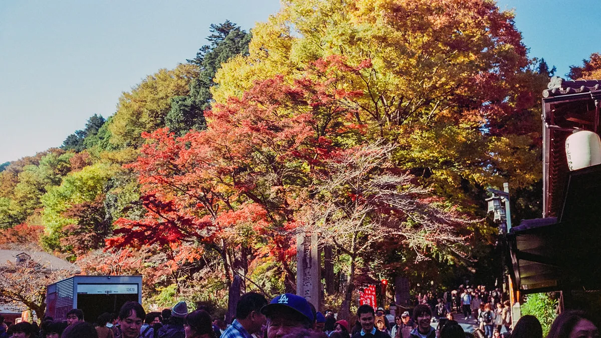 When Is the Best Time to Visit Mount Takao? — Mount Takao
