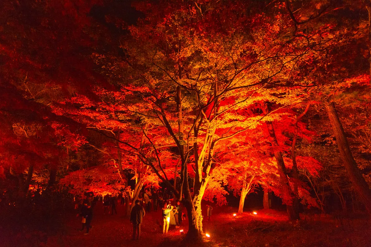 Looking for Day-by-Day Itineraries in Chichibu? — Chichibu
